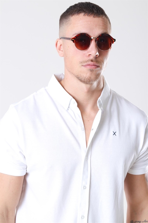 Fashion 1512 Brown Havana/Gold des lunettes de soleil Brown Gradient