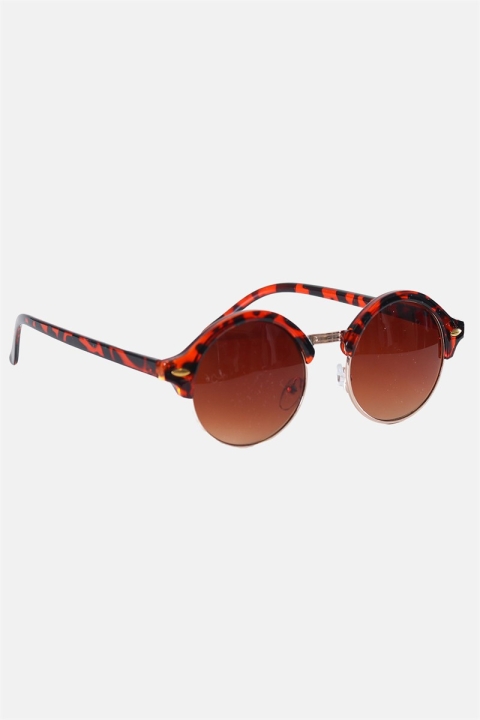 Fashion 1512 Brown Havana/Gold des lunettes de soleil Brown Gradient