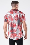 Solid Brando S/S Cuba Tropic Chemises Valiant PO