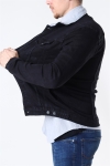 Denim Project Kash Teddy Denim Veste