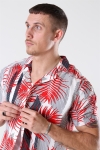 Solid Brando S/S Cuba Tropic Chemises Valiant PO