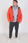 Jack & Jones Oscar Veste Hood Cherry Tomata