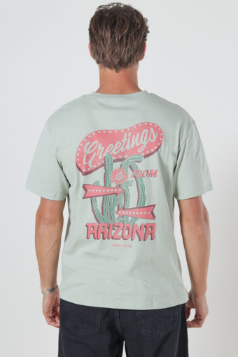 Greetings Relaxed Fit Tee Desert Sage