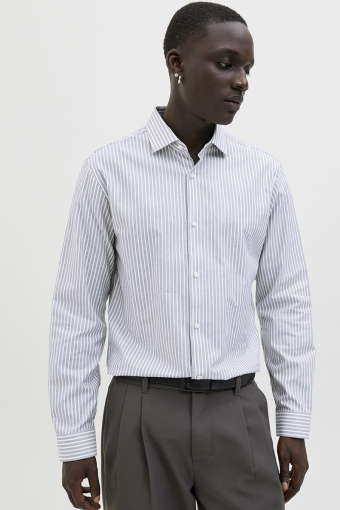 Parker Wrinkle Resistant Shirt LS Bright White Stripe